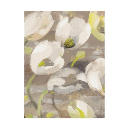 Albena Hristova 'Tulip Delight I' Canvas Art,35x47
